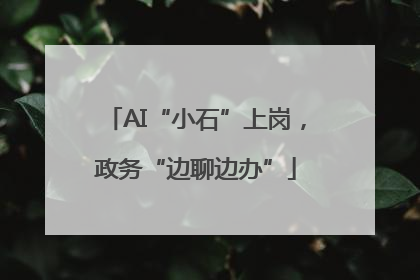 AI“小石”上岗，政务“边聊边办”