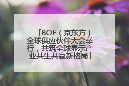 BOE（京东方）全球供应伙伴大会举行，共筑全球显示产业共生共赢新格局