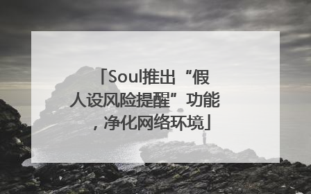 Soul推出“假人设风险提醒”功能，净化网络环境